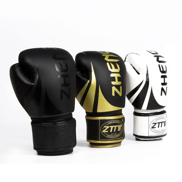 Boxing Gloves1