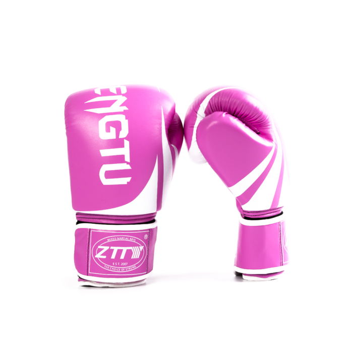Boxing Gloves2