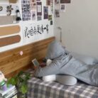 微信图片_20260604141455_597_55